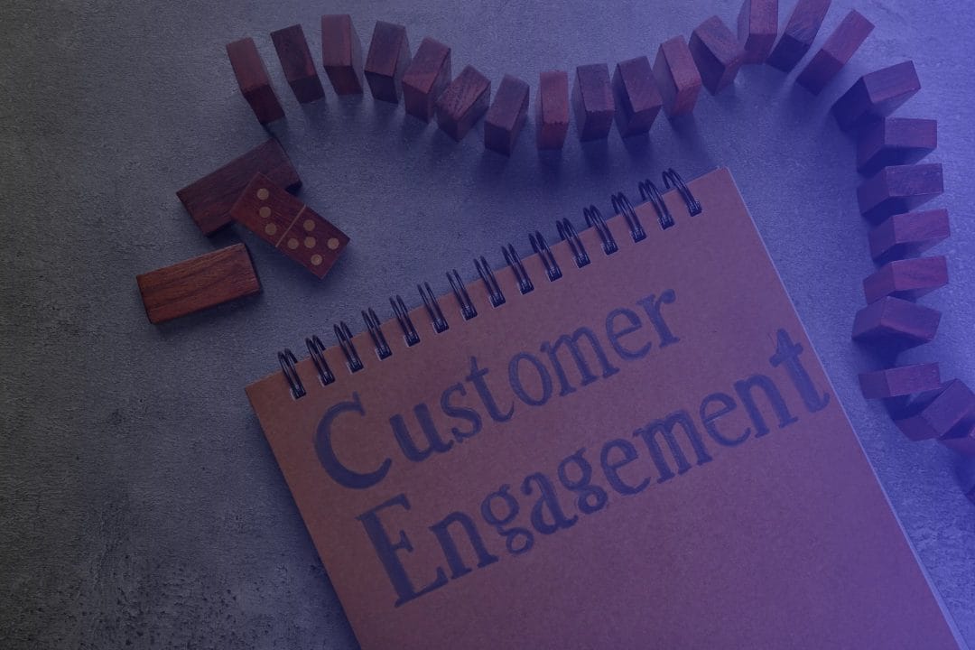 Notebook titled 'Customer Engagement' with dominos.